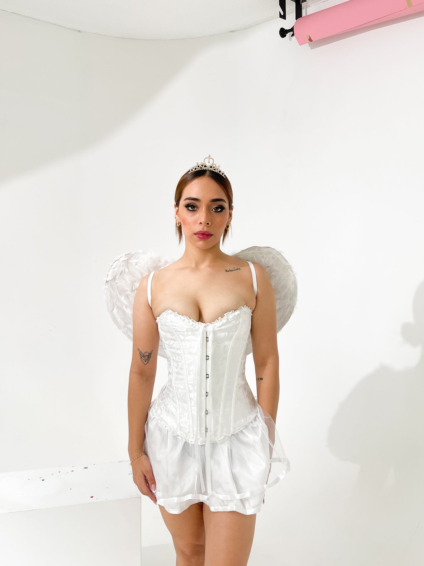 cisne con tutu